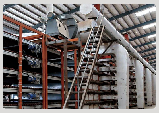 LOPO Drying Systems For Terracotta Loafs.jpg