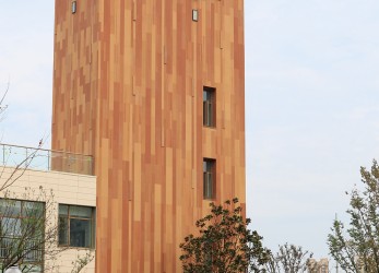 Yucai Middle School ,qingdao (1)