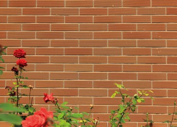 Tianjin University (1)