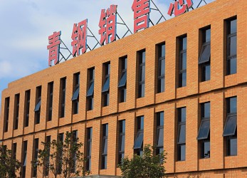 Qingdao Iron and Steel Plant (1)