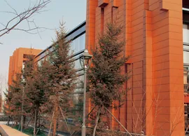 Qicai,jinyuan,yunnan (0)