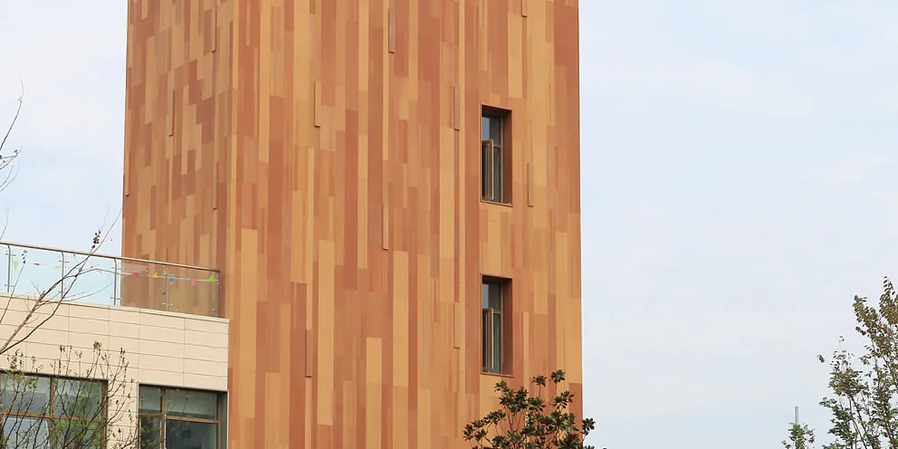 Yucai Middle School ,qingdao (1)