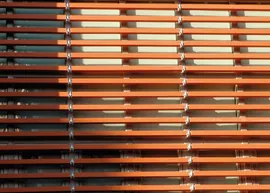 Shingoo Univertisity ,korea (2)