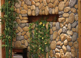 Japan Fshion Bay (1)