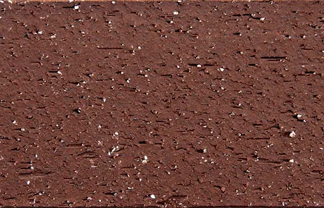 Clay paver tile