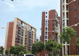 Coastal town,Wuhan (1)