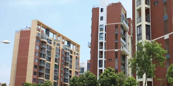 Coastal town,Wuhan (1)