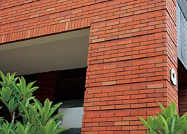 The south suburb park,Shanghai (0)