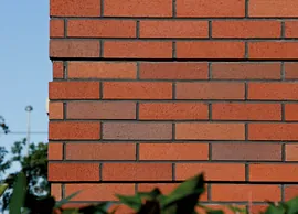 The south suburb park,Shanghai (2)