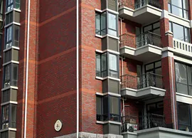 Beijing rose garden (1)