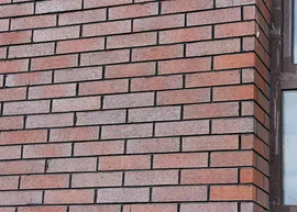 Shanxi Medical University (1)