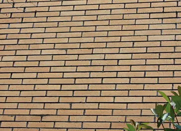 Green spring shore Villa,Wuhan