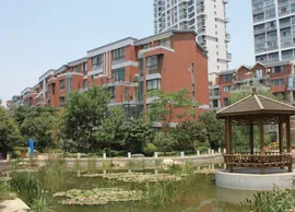 Luoyang orient classic (0)