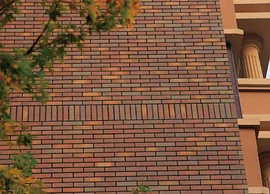 Jinzhou county south of the world (1)