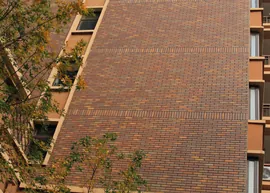 Jinzhou county south of the world (2)