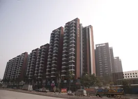 Nanhai water age and candy community (0)