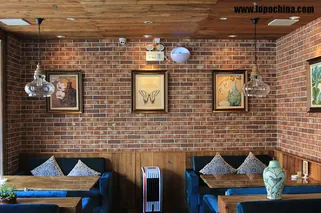 Faux Brick ----The favorite of interior designer