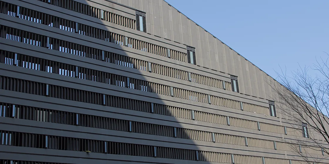 National fitness center, Zhoushan (4)