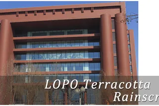 Hebei University's library