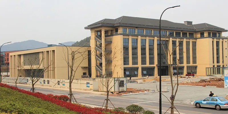 Qingshan Lake Sci-tech Innovation Center (1)