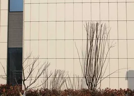 Qingdao Metro Mansion (2)