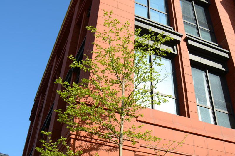 terracotta facades