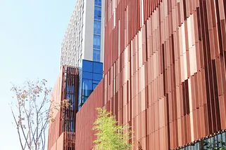 Terracotta Baguette --- Special Texture for Architecture Facades