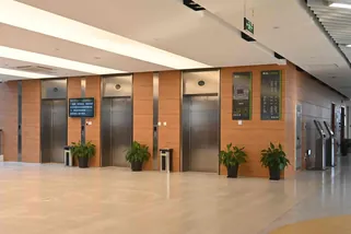 Wood Grain 3D Inkjet Terracotta Panel project --- Nanjing Forestry University Library