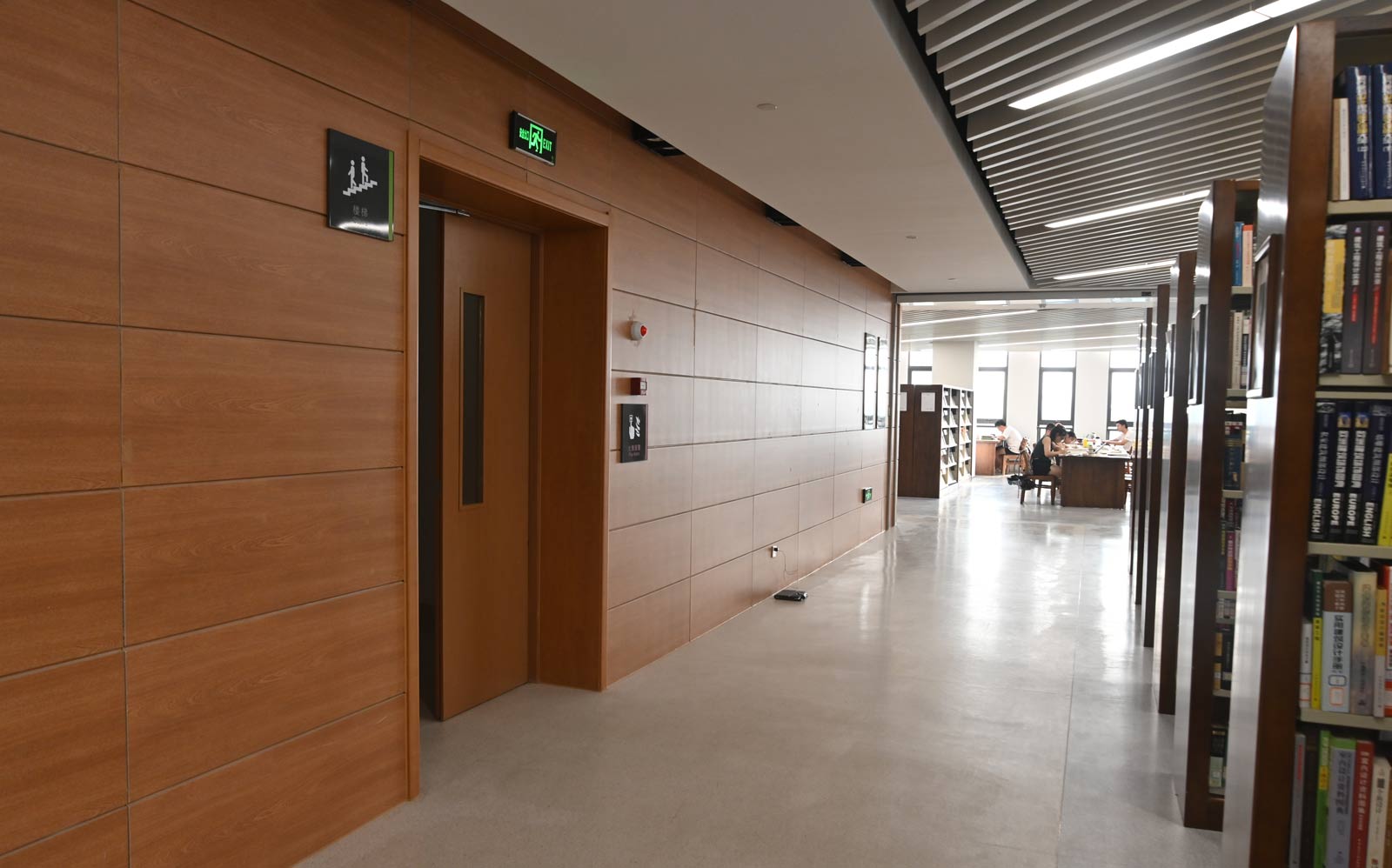 Woodgrains Surface Wall Eastside Library.jpg