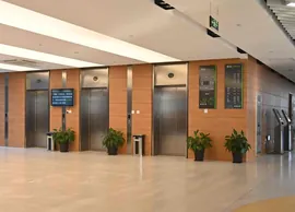 Woodgrain Digital Inkjet Panel --- Nanjing Forestry University Library (1)