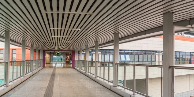 Nanjing Metro Linshan Station (2)