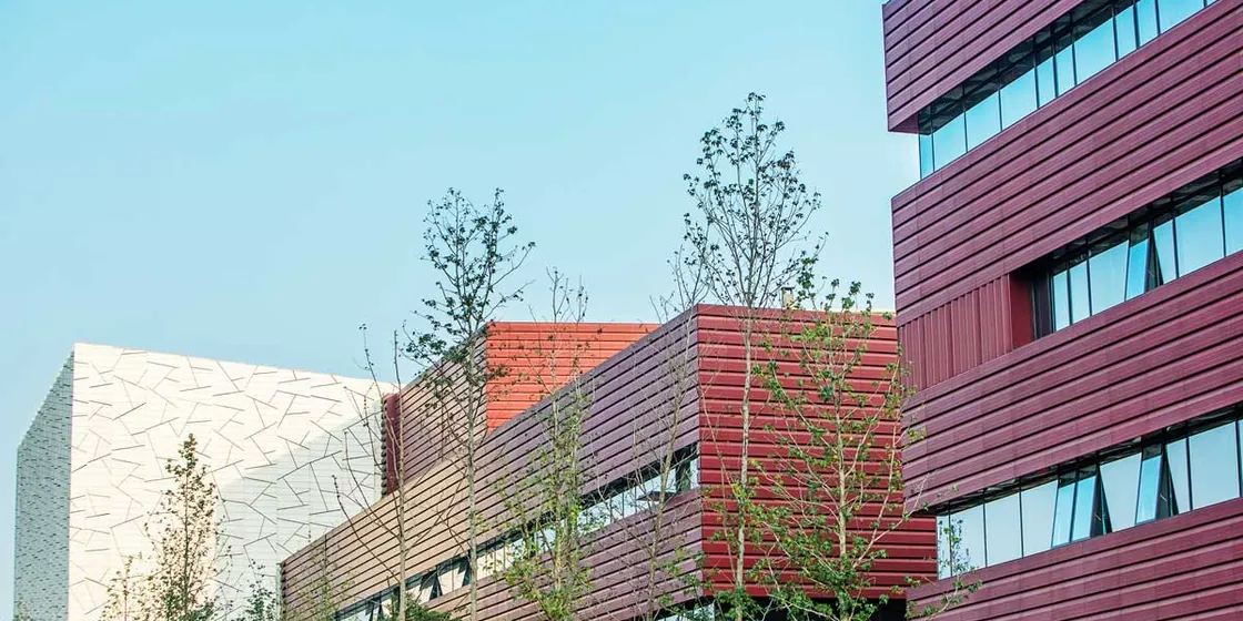 Hunan Art Museum Project (2)