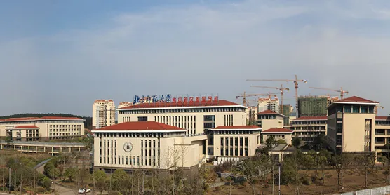 The School Affiliated to Beijing Normal University (0)