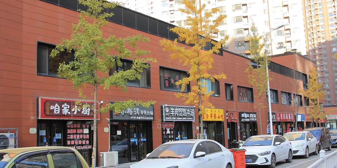 Taiyuan Vanke City in LOPO Terracotta (6)