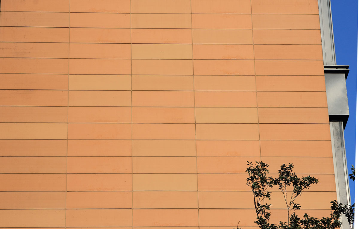 Close-up picture of mixed color terracotta planes.jpg