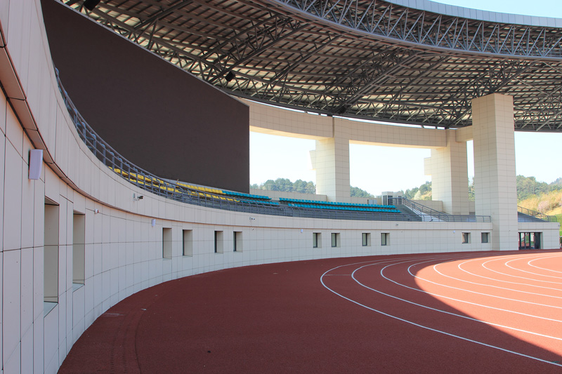 White Clay Rainscreen System for Interior Stadium Wall  .jpg