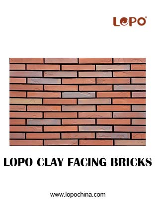 LOPO CLAY FACING BRICK CATALOGUE.jpg