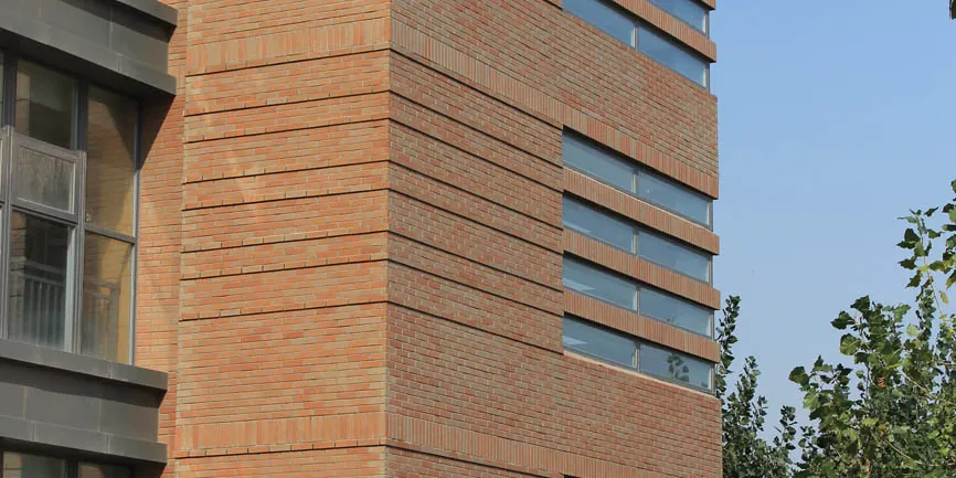 Tianjin Modern Vocational Technology College (5)