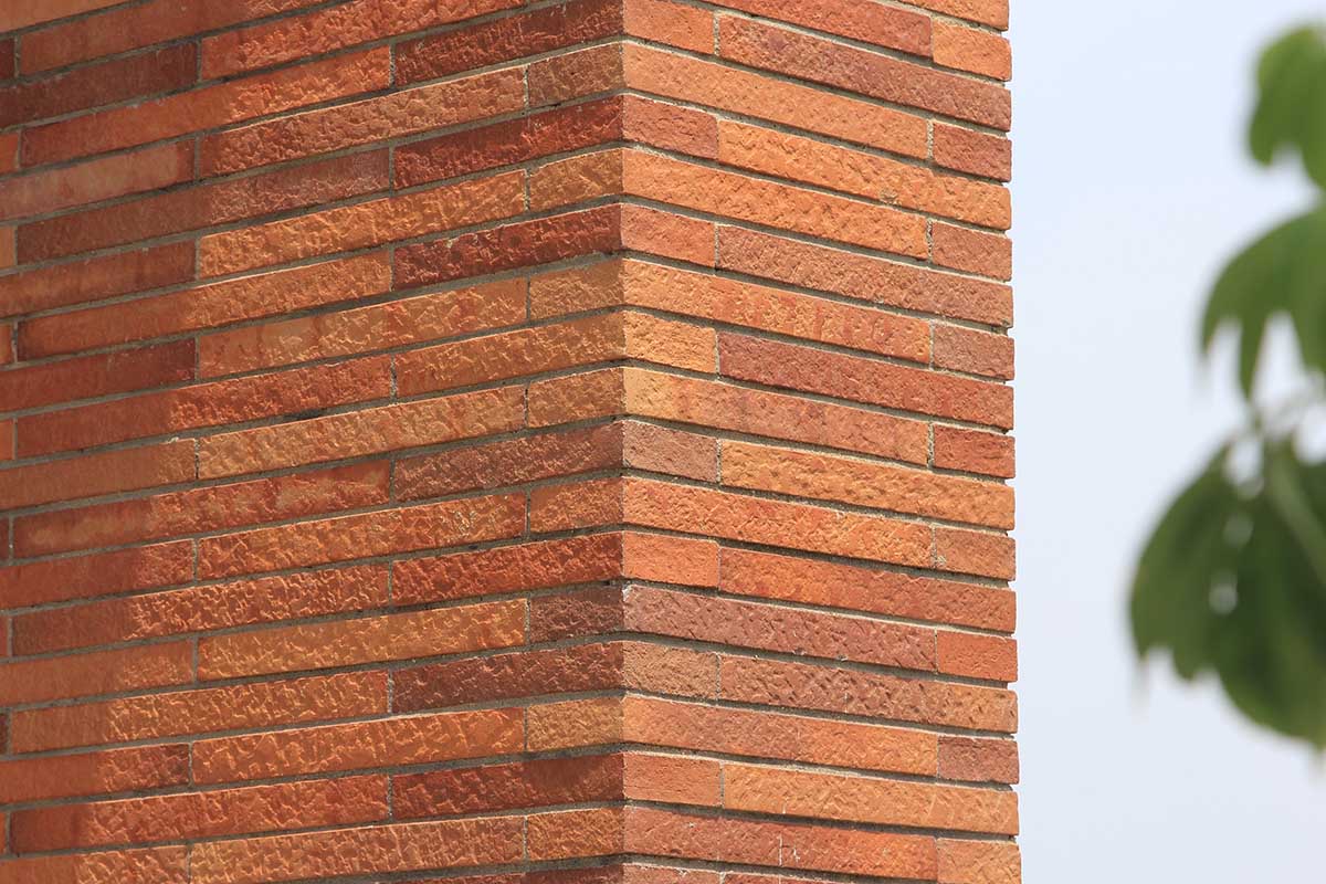 Close-up of terracotta brick in CR University.jpg