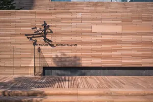 Local From Yesterday-Dreamland Club