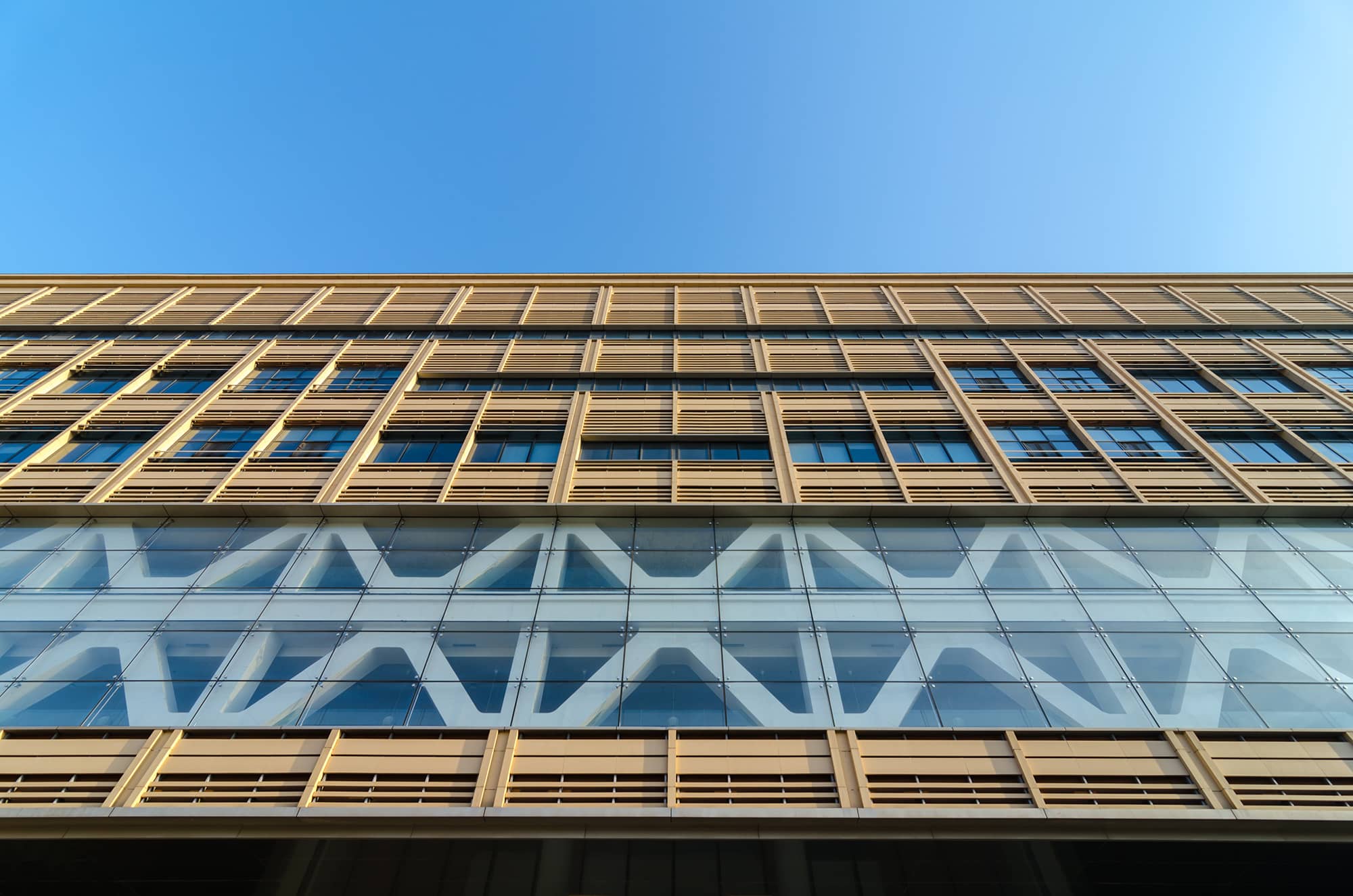 beige terracotta facade of library.jpg