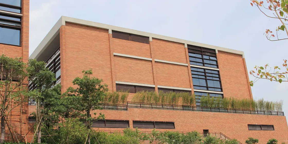 Crland University (3)