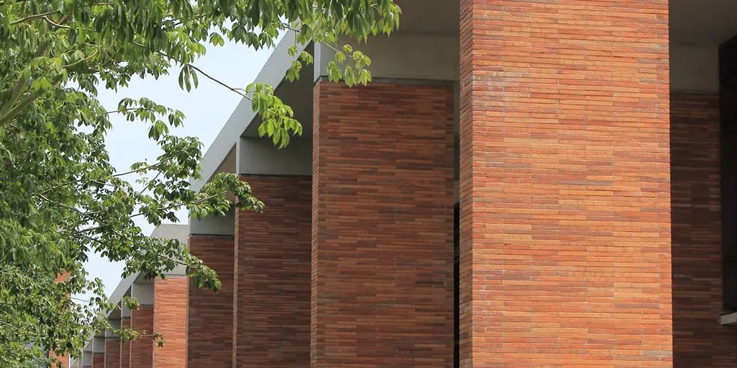 Crland University (6)