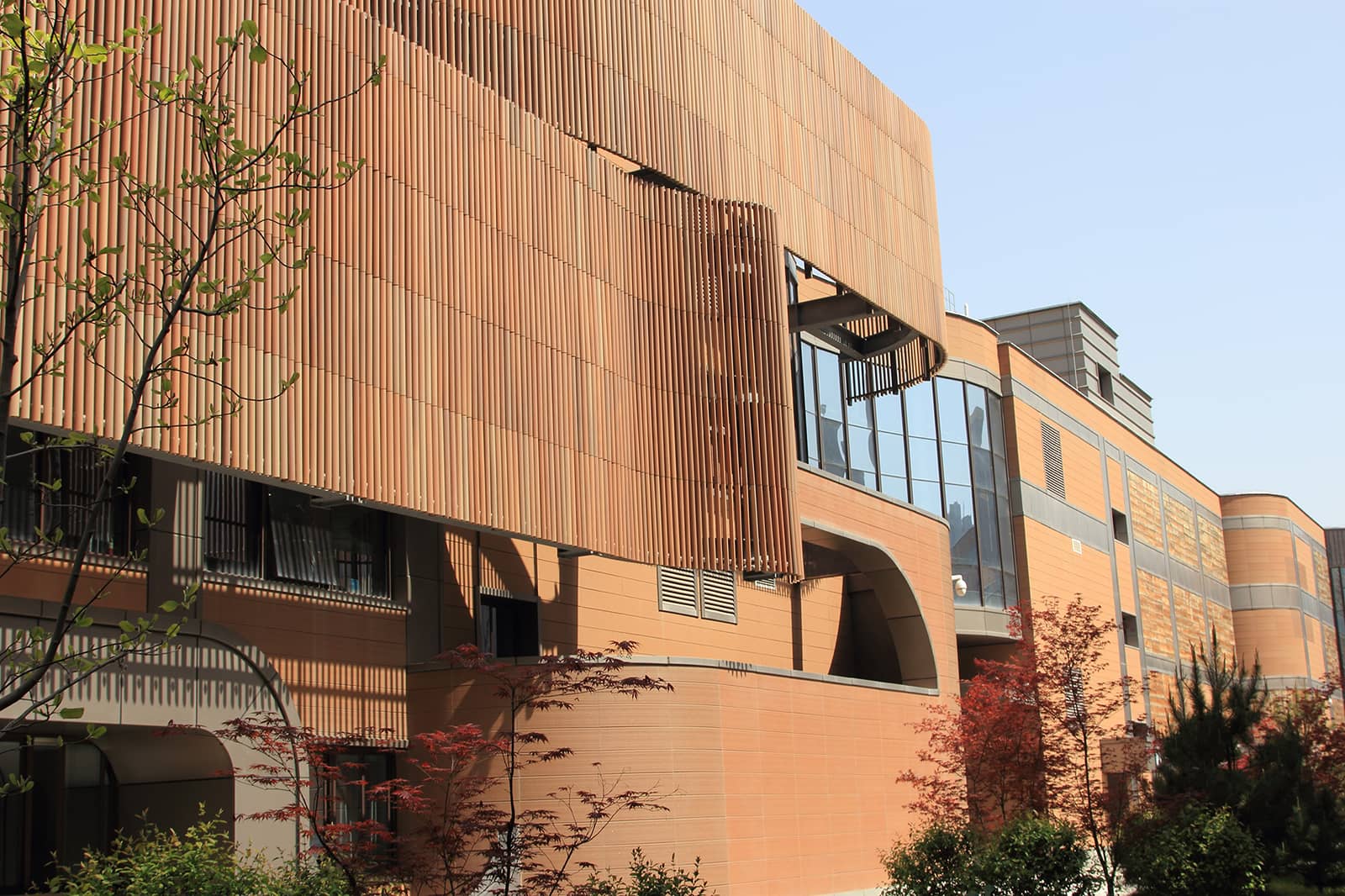 Museum in combed and sandblasted terracotta texture.jpg