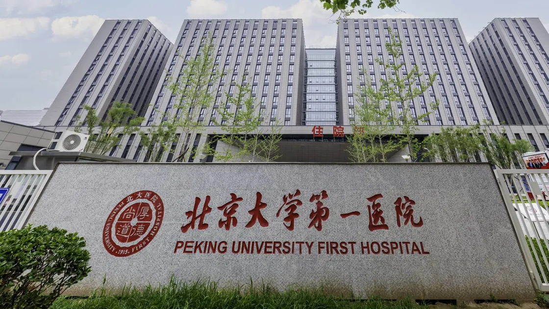 LOPO Terracotta Project Peking University First Hospital （Daxing Campus）.jpg
